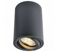 Накладной светильник Arte Lamp 1560 A1560PL-1BK