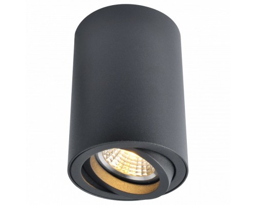 Накладной светильник Arte Lamp 1560 A1560PL-1BK