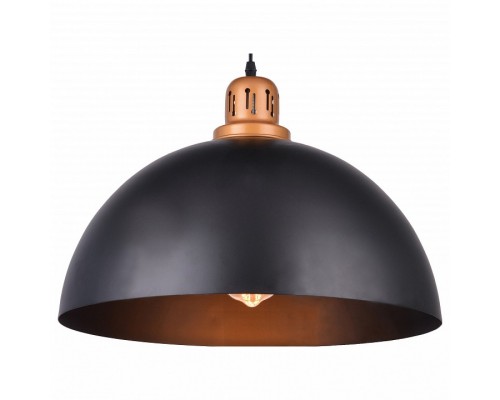 Подвесной светильник Arte Lamp Eurica A4249SP-1BK