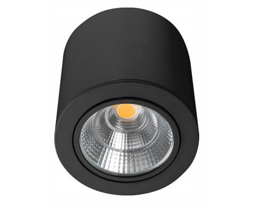 Накладной светильник Arlight SP-FOCUS-R140-30W Day4000 (BK, 24 deg, 230V) 029537