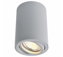 Накладной светильник Arte Lamp 1560 A1560PL-1GY