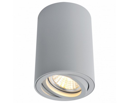 Накладной светильник Arte Lamp 1560 A1560PL-1GY