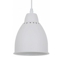 Подвесной светильник Arte Lamp Braccio A2054SP-1WH