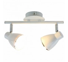 Спот Arte Lamp Gioved A6008PL-2WH