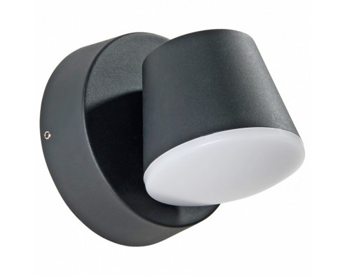 Накладной светильник Arte Lamp Chico A2212AL-1BK