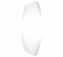 Накладной светильник Arte Lamp Aqua A6940AP-1WH