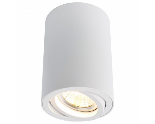 Накладной светильник Arte Lamp 1560 A1560PL-1WH