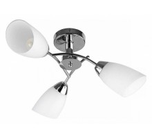 Люстра на штанге TopLight Carmel TL3600X-03CH