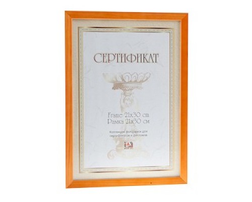 Фоторамка настенная Certificate 6005 C0036002