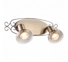 Спот Arte Lamp Focus A5219AP-2AB