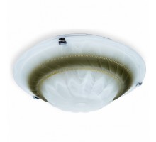 Накладной светильник TopLight Clare TL9101Y-02BR