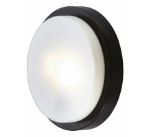 Накладной светильник Odeon Light Holger 2744/2C