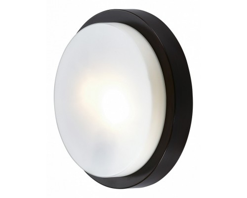 Накладной светильник Odeon Light Holger 2744/2C