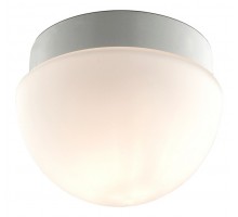 Накладной светильник Odeon Light Minkar 2443/1B