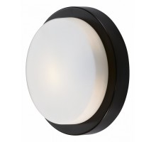 Накладной светильник Odeon Light Holger 2744/1C