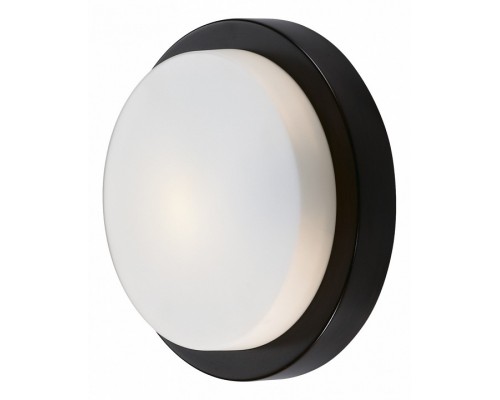 Накладной светильник Odeon Light Holger 2744/1C