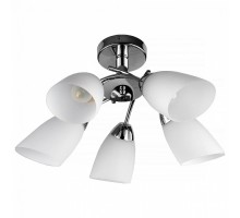 Люстра на штанге TopLight Carmel TL3600X-05CH