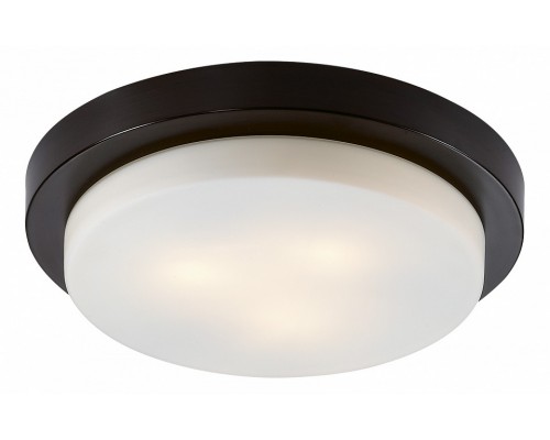 Накладной светильник Odeon Light Holger 2744/3C