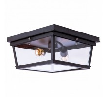 Накладной светильник Loft it Modern filament LOFT3110-2C