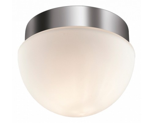 Накладной светильник Odeon Light Minkar 2443/1A