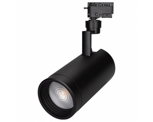 Светильник на штанге Arlight Lgd-Zeus LGD-ZEUS-2TR-R100-30W White6000 (BK, 20-60 deg)