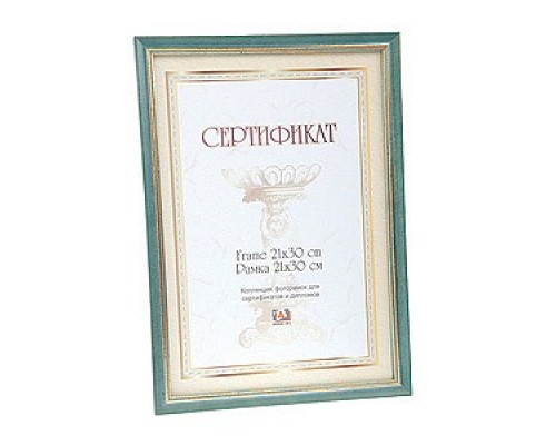 Фоторамка настенная Certificate 6006 C0036028