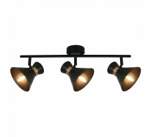 Спот Arte Lamp Baltimore A1406PL-3BK